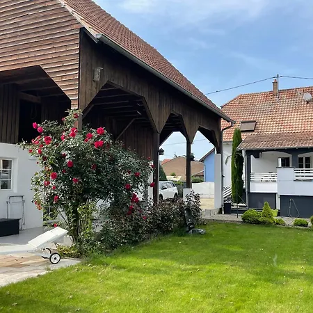 Alsace Maison 5p Piscine Europapark Rulantica Marckolsheim